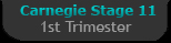 Carnegie Stage 3 - First Trimester