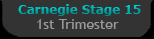 Carnegie Stage 15 - First Trimester