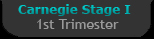 Carnegie Stage 3 - First Trimester