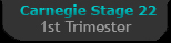 Carnegie Stage 3 - First Trimester