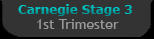 Carnegie Stage 3 - First Trimester