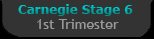Carnegie Stage 6 - First Trimester