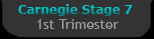 Carnegie Stage 7 - First Trimester