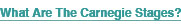What Are The Carnegie Stages?